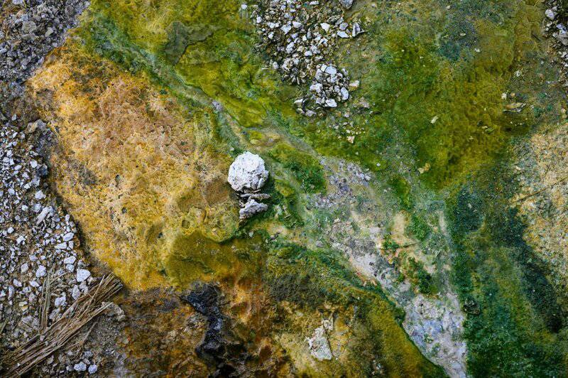 NASA Made a World-Shaking Discovery: Compelling Evidence of Past Life on Mars