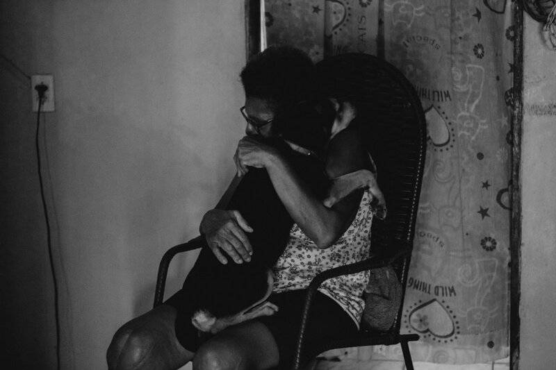 Animal Intelligence Will Blow Your Mind — 34 Incredible Facts About How Smart Pets Really Are