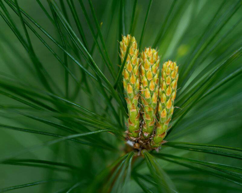 20 Ways We May Have Been Wrong About the Origin of Life