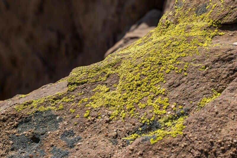 10 Scientific Ideas That Were Once Heresy