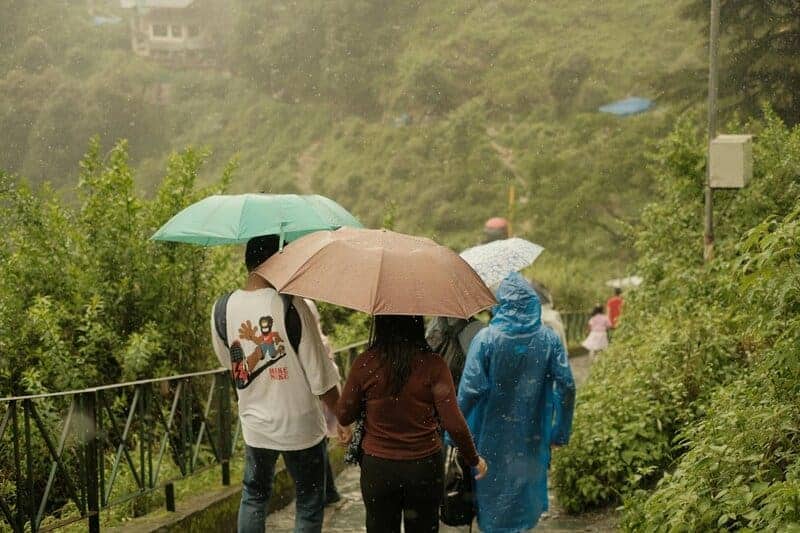 12 Science-Backed Benefits of Walking in Nature for Mental Health