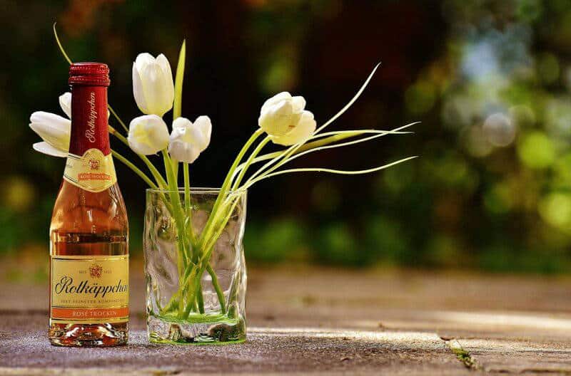 The Science of Freshness: How Oxygen Levels Impact the Shelf Life of Wine