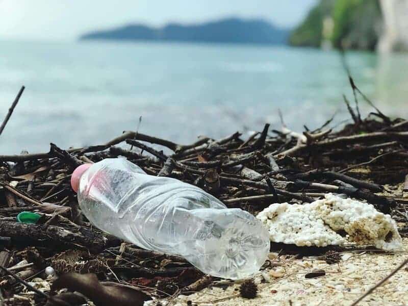 I&#8217;m a Marine Biologist—Here Are 28 Shocking Things I&#8217;ve Found in Ocean Plastic