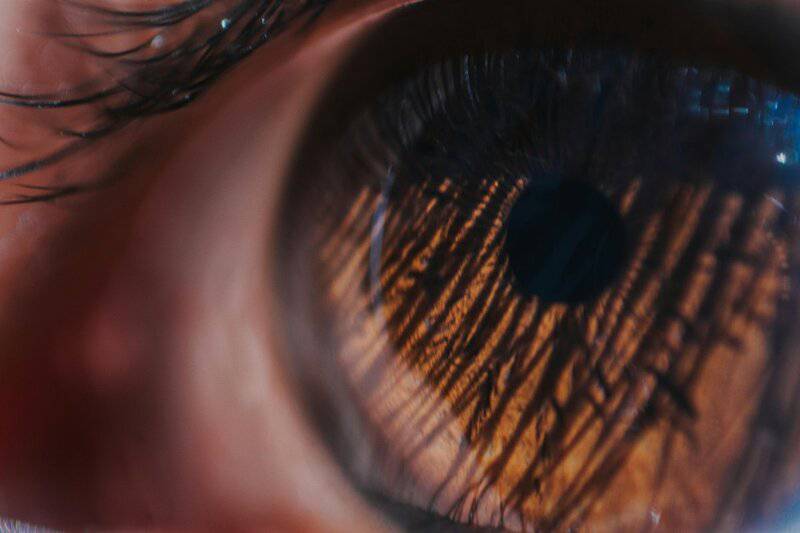 Evolution&#8217;s Biggest Mistakes: 24 Body Parts That Prove We&#8217;re Still Works in Progress