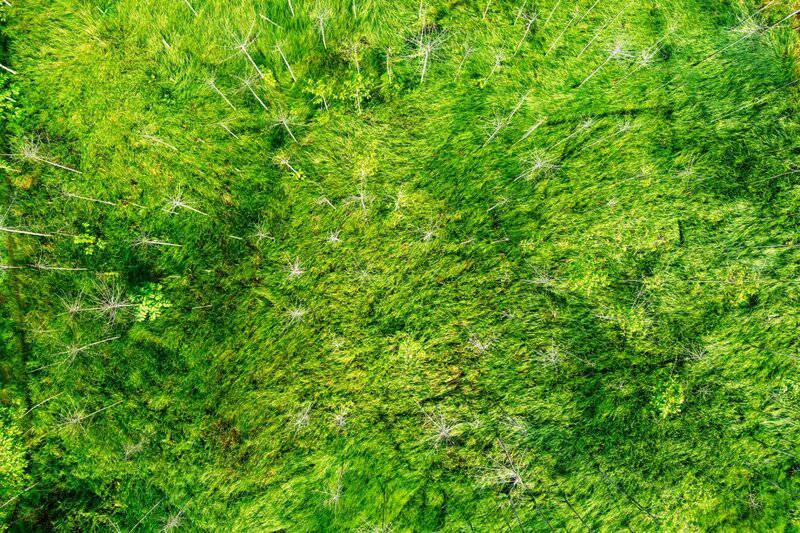 Space Farming: How Zero-Gravity Experiments Are Revolutionizing Crop Cultivation on Earth