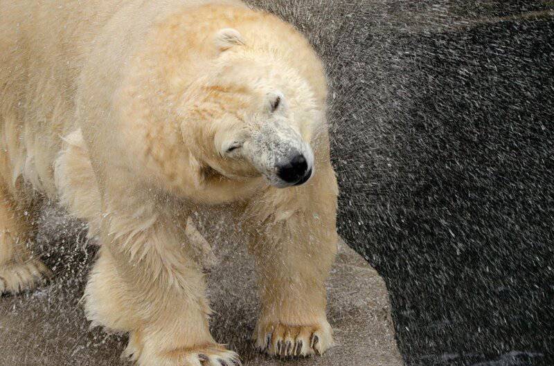 23 Devastating Changes I Witnessed During 6 Months in the Arctic