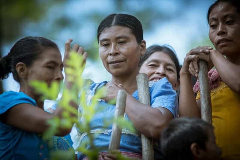 15 Theories About Consciousness That Will Bend Your Brain