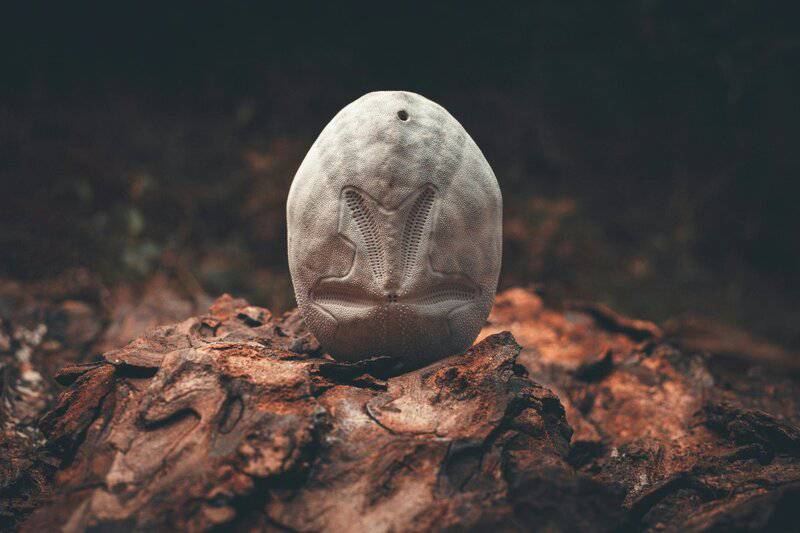 20 Ways We May Have Been Wrong About the Origin of Life