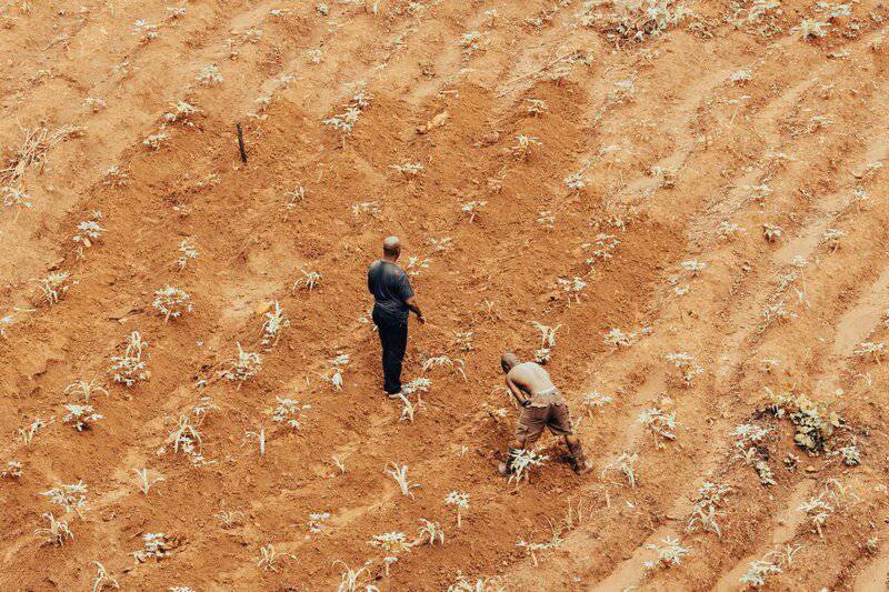 15 Scientific Innovations Fighting World Hunger