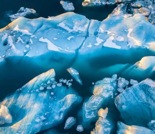 23 Devastating Changes I Witnessed During 6 Months in the Arctic