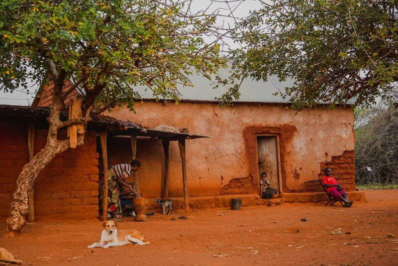 9 Animals With the Closest Genetic Link to Humans