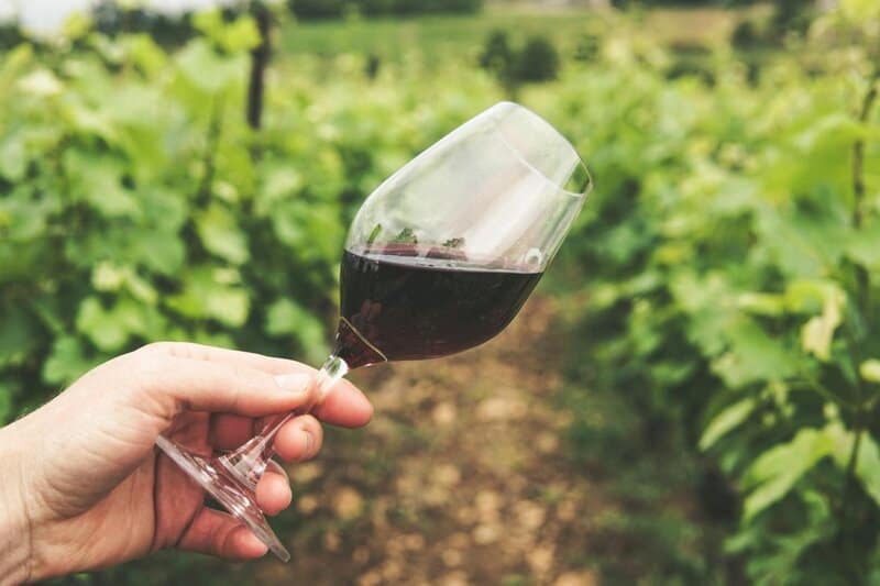 Scientists Confirm What Wine Lovers Always Hoped: 1 Bottle a Week Has Surprising Health Benefits