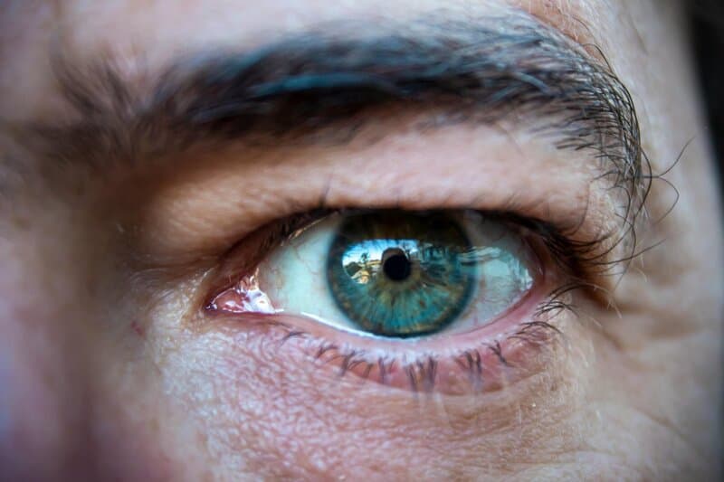 Evolution&#8217;s Biggest Mistakes: 24 Body Parts That Prove We&#8217;re Still Works in Progress