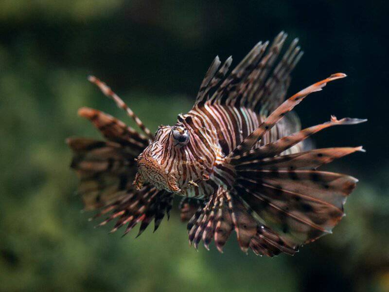 Strange Places Scientists Are Looking for Aliens