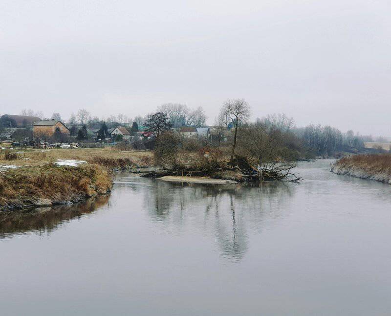 Birds Were Nesting in the Arctic 73 Million Years Ago — And They Lived Alongside Dinosaurs
