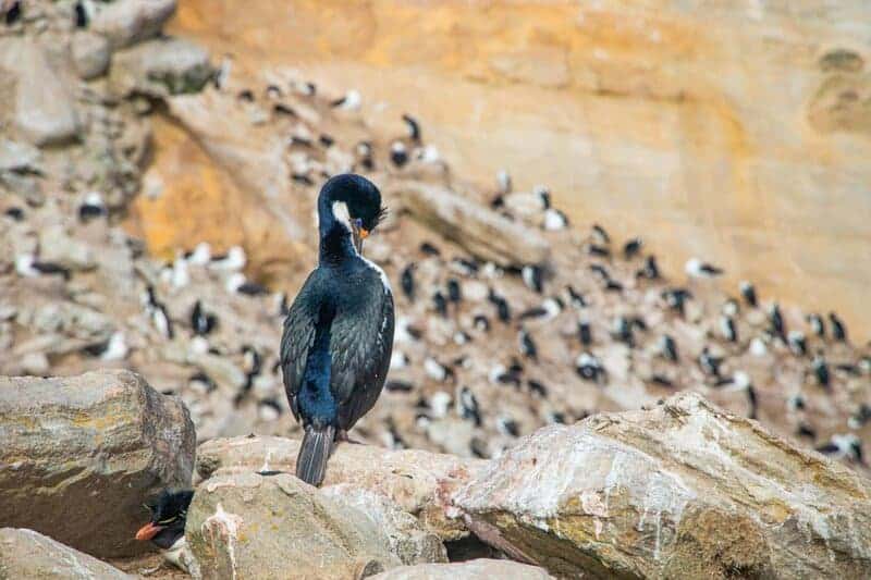 23 Devastating Changes I Witnessed During 6 Months in the Arctic