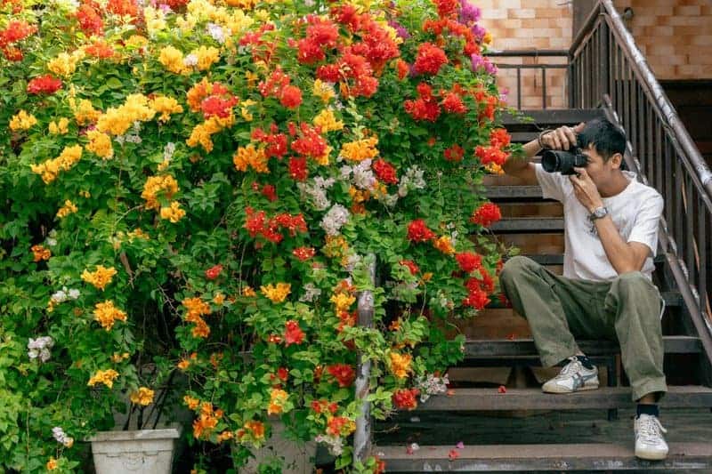 How Urban Gardening is Transforming Cityscapes: Top Tips for Small Spaces