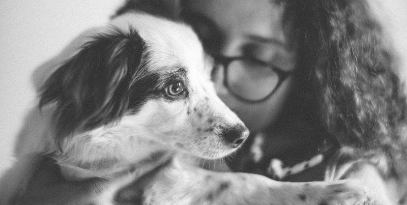 Dog Owners Say Their Bond with Their Pet is More Satisfying Than with Their Partner