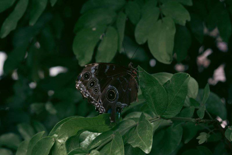 20 Ways the Earth Could End (According to Scientists)