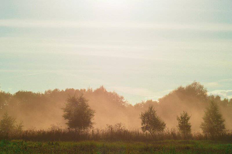 Unveiling Saturn&#8217;s Secrets: How Its Rings Influence the Planet&#8217;s Climate Dynamics