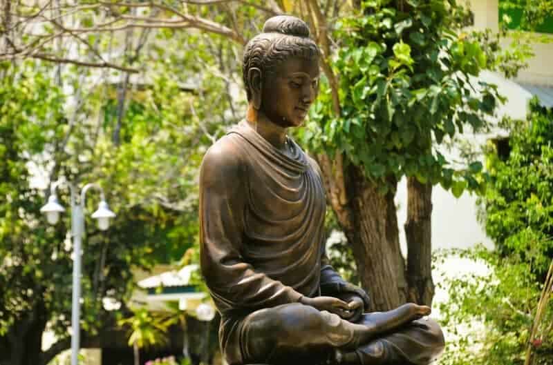 Ancient Plant DNA Unlocks Secrets of Earth&#8217;s Past Climate Changes