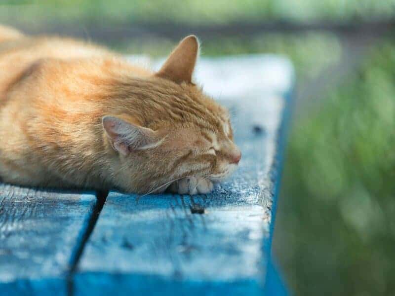 Consciousness remains science&#8217;s greatest mystery: 25 things about your mind scientists can&#8217;t explain