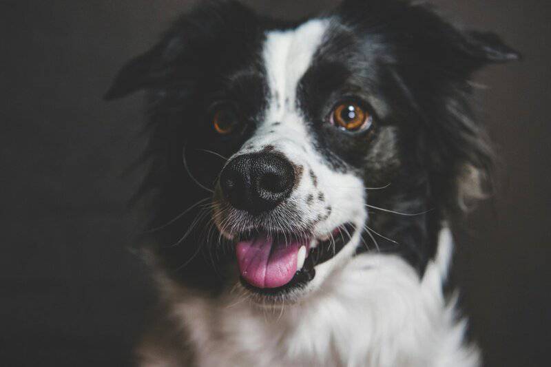 10 Strangest Patents Ever Filed by Scientists