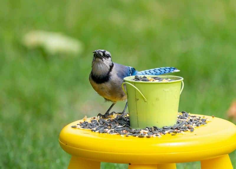 The Psychology of Evil: 22 Normal Behaviors That Turn Ordinary People into Monsters