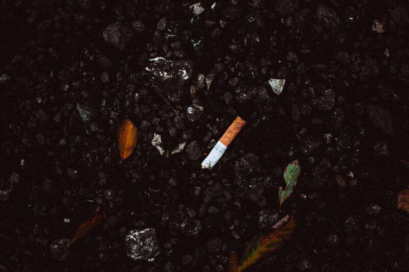 I&#8217;m a Marine Biologist—Here Are 28 Shocking Things I&#8217;ve Found in Ocean Plastic