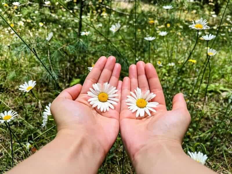 The 27 Mathematical Equations That Could Destroy Civilization If Solved