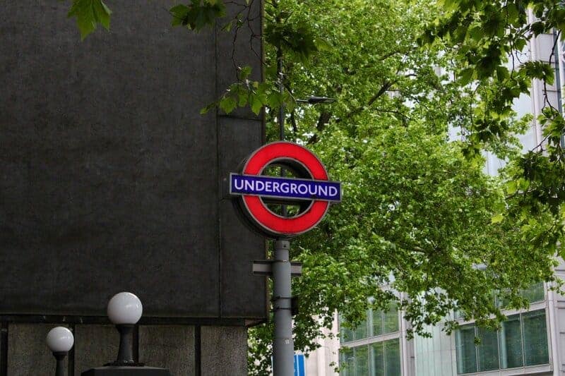 15 Examples of Evolution Happening in Real Time