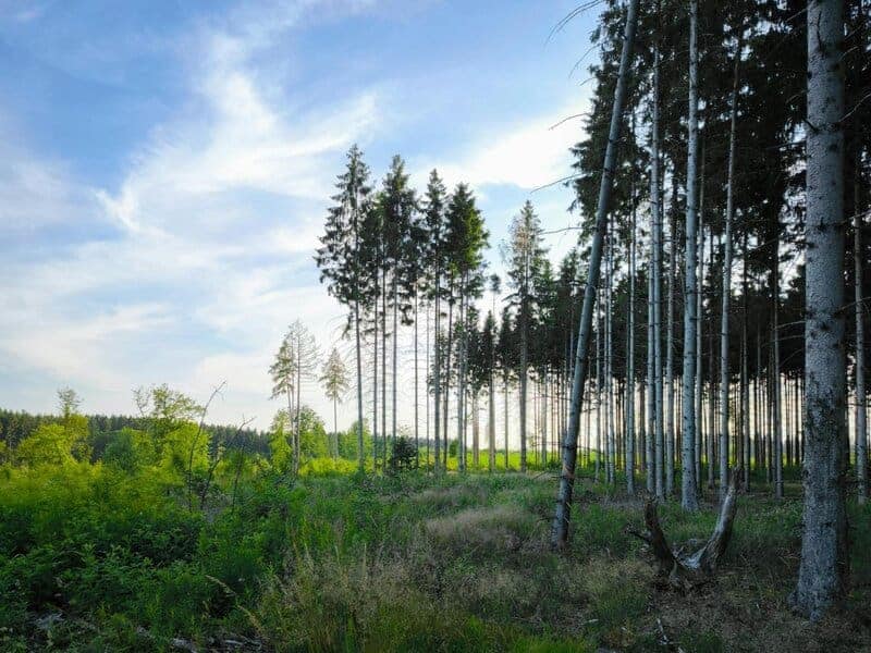 Debunking Climate Myths: Misunderstandings about Global Warming Explained