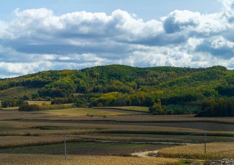 15 Ways Scientists Are Tackling the Climate Crisis Right Now