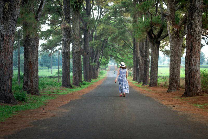 12 Science-Backed Benefits of Walking in Nature for Mental Health
