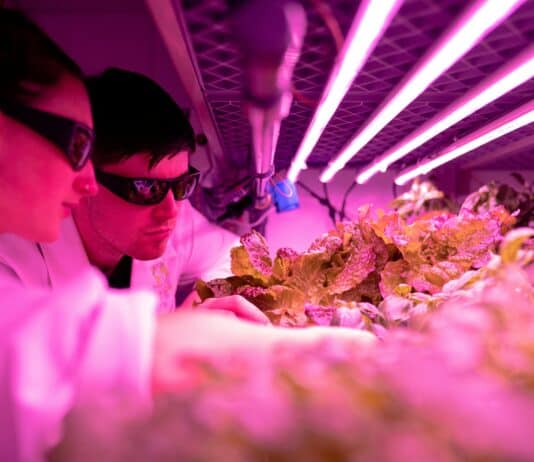 15 Scientific Innovations Fighting World Hunger