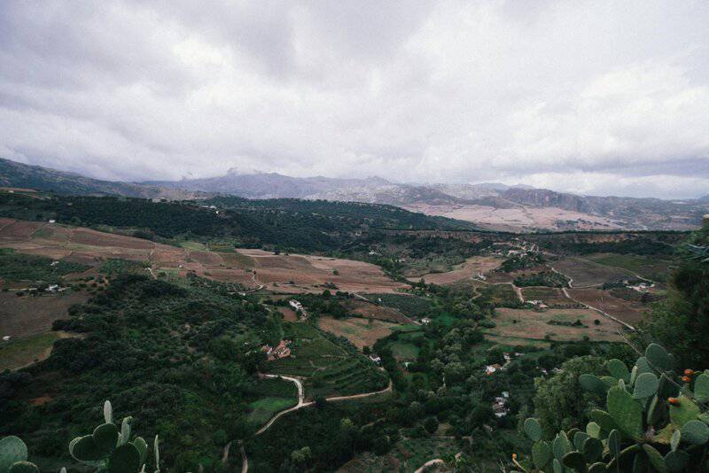 20 Ways We May Have Been Wrong About the Origin of Life