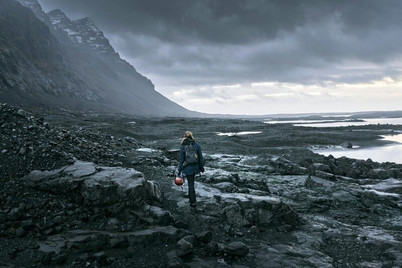 Birds Were Nesting in the Arctic 73 Million Years Ago — And They Lived Alongside Dinosaurs