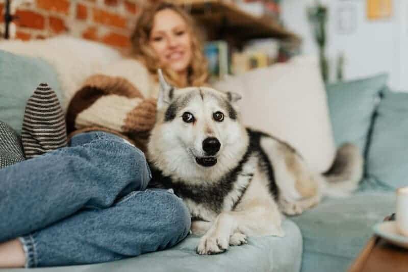 Dog Owners Say Their Bond with Their Pet is More Satisfying Than with Their Partner