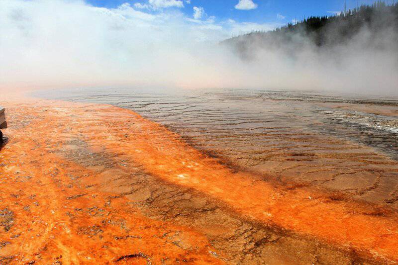 Scientists Say We May Have Been Wrong About the Origin of Life