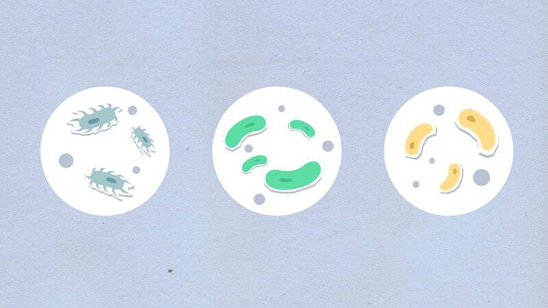 10 Scientific Ideas That Were Once Heresy