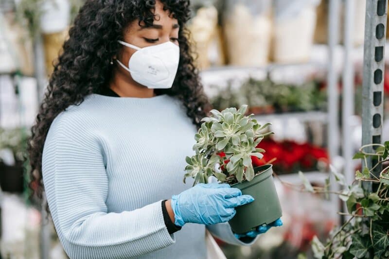 Popular Houseplants That Are Surprisingly Toxic to Pets and Children