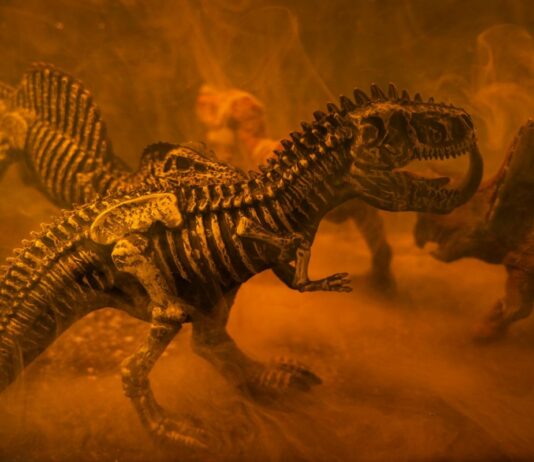 15 Surprising Facts About Dinosaurs You Didn’t Know