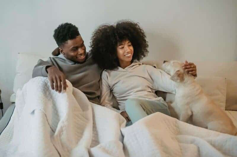 7 Best Calming Treats for Dogs That Need Some Relaxation