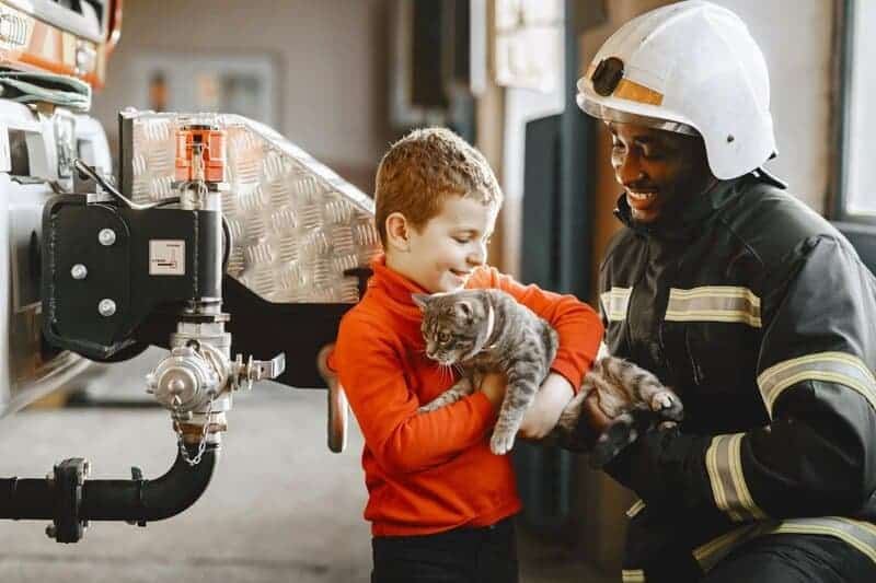 22 Cat Breeds Prone to Anxiety: Understanding Feline Mental Health Challenges