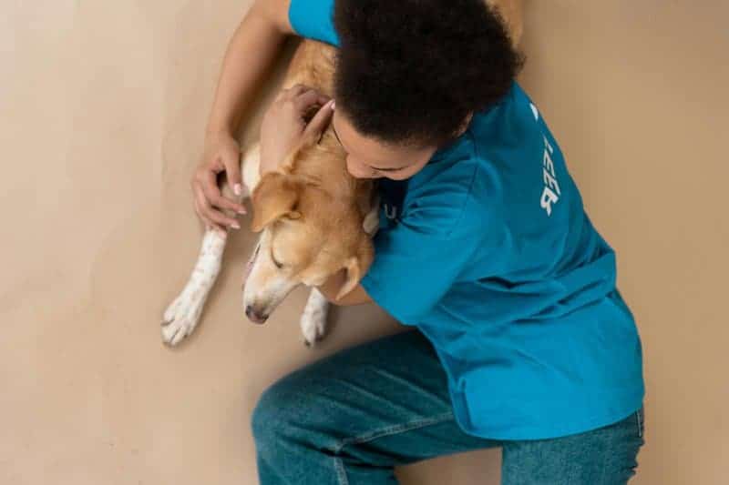 15 Animals That Understand Human Emotions, According to Science