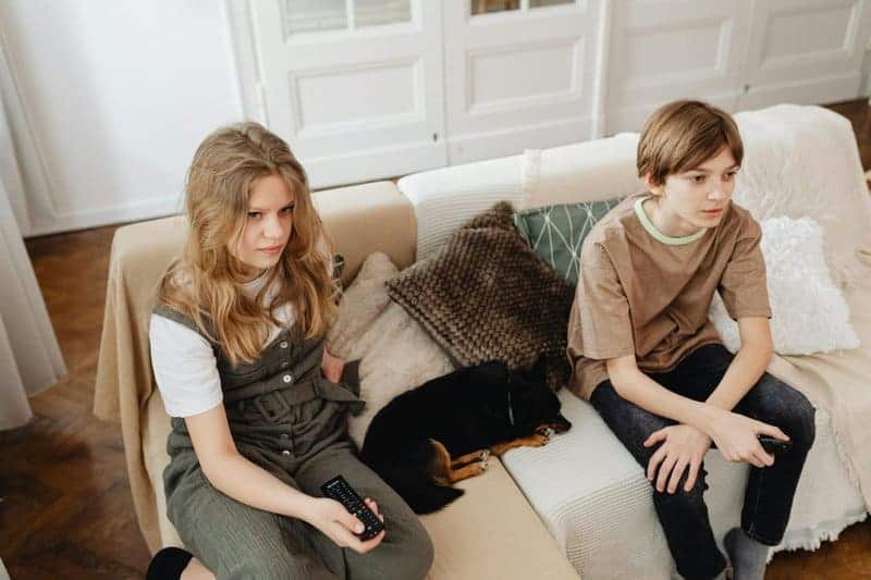 I&#8217;ve studied sibling relationships for 15 years: The 21 childhood patterns that predict adult family harmony