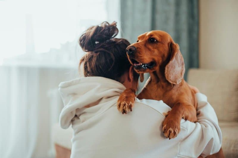 Dog Owners Say Their Bond with Their Pet is More Satisfying Than with Their Partner