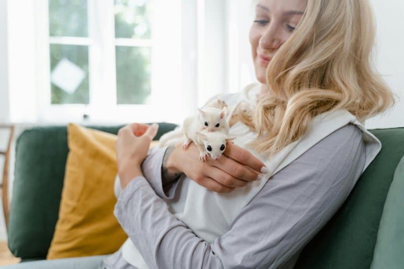 25 Incredibly Cute Miniature Animals You Can Actually Keep as Pets