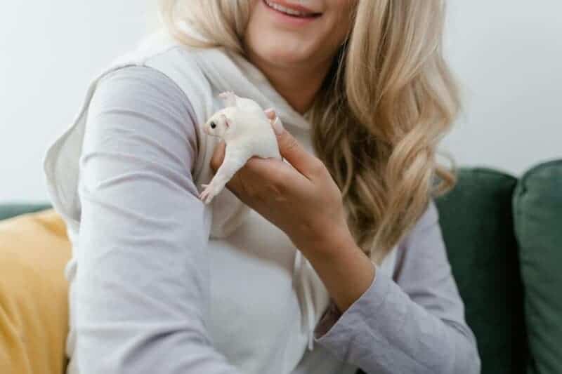 The Rise of Uncommon Pets: Exploring 8 Unique Animals You Can Adopt Today