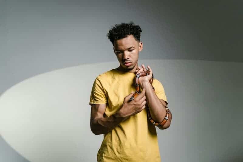 Why the Most Organized People You Know Are Actually Hiding a Dark Secret